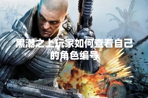 黑潮之上玩家如何查看自己的角色编号
