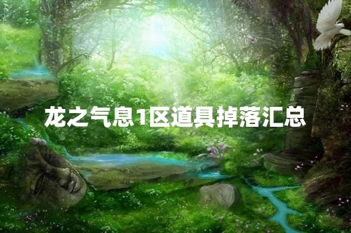 龙之气息1区道具掉落汇总