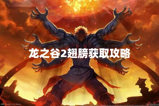 龙之谷2翅膀获取攻略