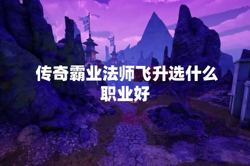  传奇霸业法师飞升选什么职业好