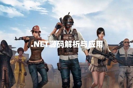 .NET源码解析与应用