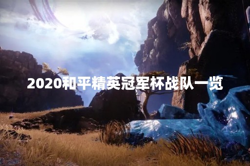 2020和平精英冠军杯战队一览