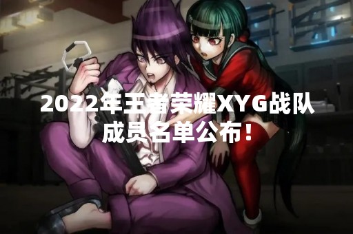 2022年王者荣耀XYG战队成员名单公布！