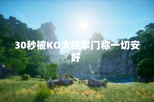 30秒被KO太极掌门称一切安好 
