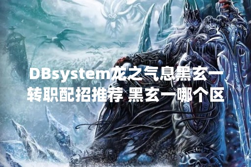 DBsystem龙之气息黑玄一转职配招推荐 黑玄一哪个区好