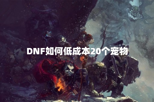 DNF如何低成本20个宠物