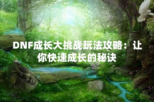 DNF成长大挑战玩法攻略：让你快速成长的秘诀