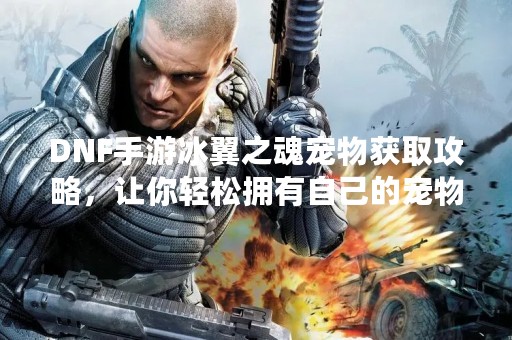 DNF手游冰翼之魂宠物获取攻略，让你轻松拥有自己的宠物
