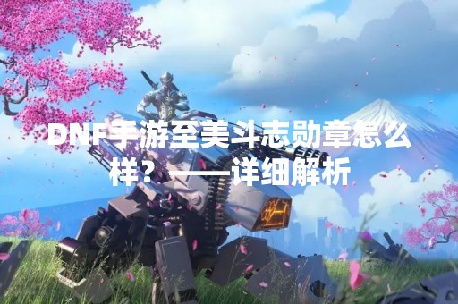 DNF手游至美斗志勋章怎么样？——详细解析