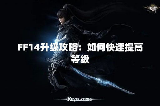 FF14升级攻略：如何快速提高等级