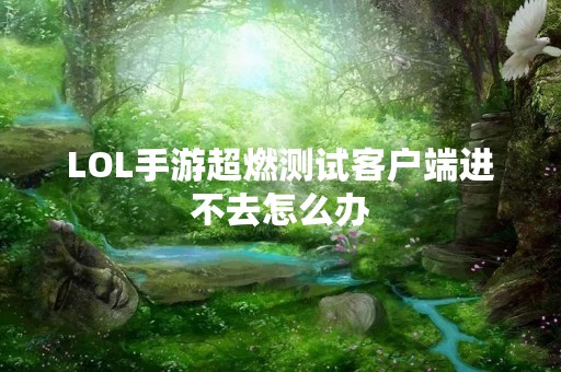 LOL手游超燃测试客户端进不去怎么办