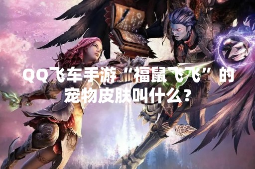QQ飞车手游“福鼠飞飞”的宠物皮肤叫什么？