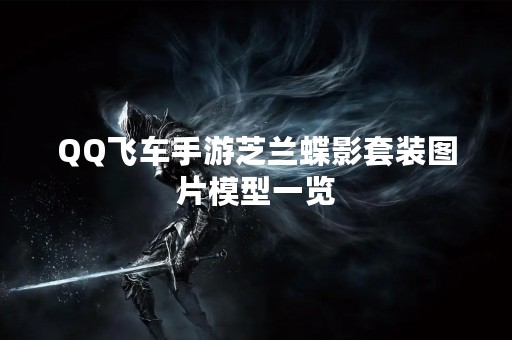 QQ飞车手游芝兰蝶影套装图片模型一览