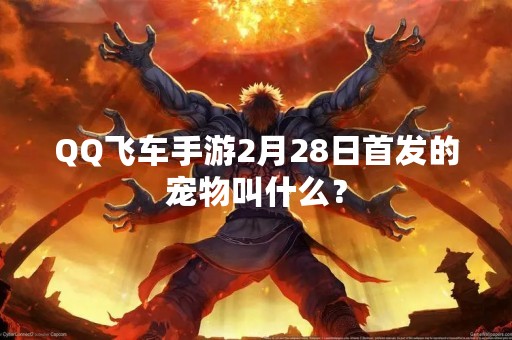 QQ飞车手游2月28日首发的宠物叫什么？