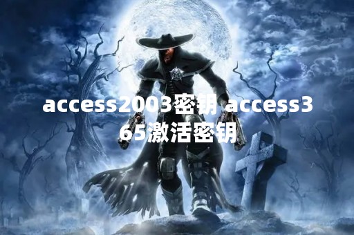 access2003密钥 access365激活密钥