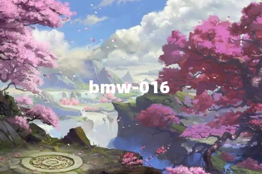 bmw-016 