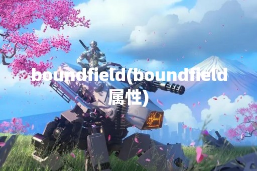 boundfield(boundfield属性)