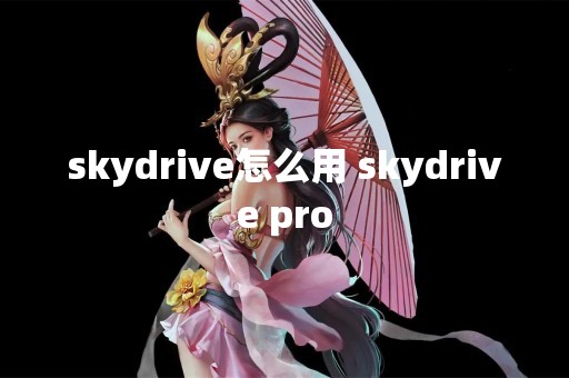 skydrive怎么用 skydrive pro