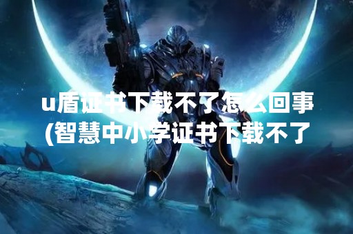u盾证书下载不了怎么回事(智慧中小学证书下载不了怎么回事)