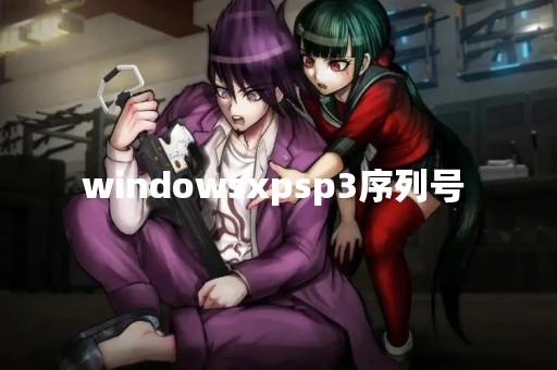 windowsxpsp3序列号 