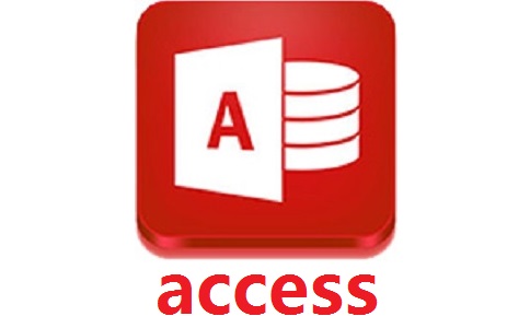 access(图文)2010 官方版