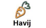 Havij1.17 正式版