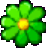 彩虹岛小草 vX5.08.07.2 绿色版