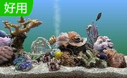 梦幻水族馆动态屏保1.234 汉化版
