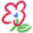 **oothDraw