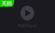 PotPlayer播放器绿色中文版1.7.22359