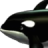 鱼鱼桌面  v2.1 官方版