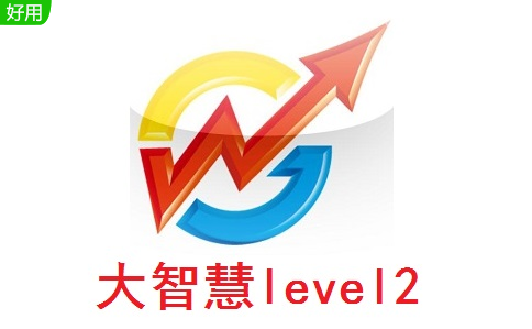 大智慧level22.3 官方版