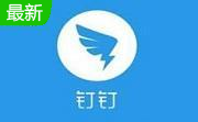 钉钉电脑版官方pc版7.6.25