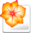 Adobe illustrator cs2  v12.0官方版