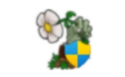 植物大战僵尸忍者版 官方版
