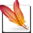 Adobe ImageReady CS2（WEB图像处理软件）  v9.0.0.196 绿色版