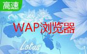 菠萝WAP浏览器1.1 电脑版