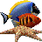 Marine Aquarium 3 v3.2绿色汉化版