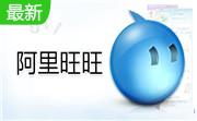 阿里旺旺2014买家版8.00.63C