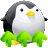 qq升级王  v2.08.08 绿色版