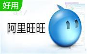 阿里旺旺买家版10.01.03C 官方版