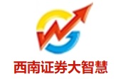 西南证券大智慧7.60 专业版