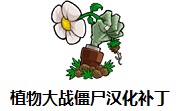 植物大战僵尸汉化补丁2021 官方版
