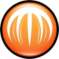 BitComet v1.73 官方版
