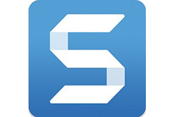Snagit21.4.1.9895 最新版