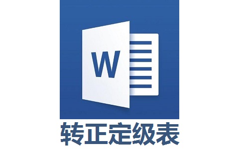 转正定级表word标准版 正式版