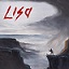 LISA 中文版