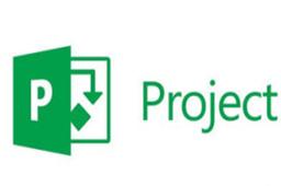 Microsoft Project2010 官方版
