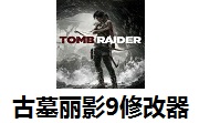 古墓丽影9修改器1.0 官方版