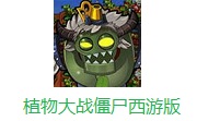 植物大战僵尸西游版电脑版